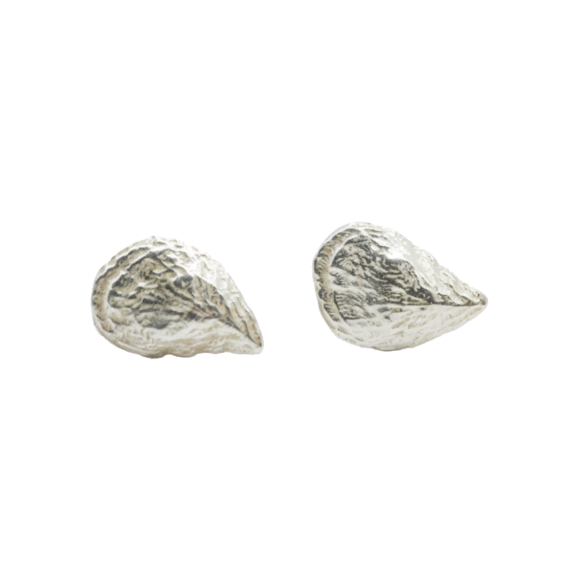 Perfect Size Oyster Shell Studs