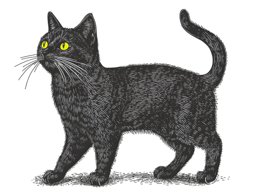 Spirit Among the Stones Tour - Member